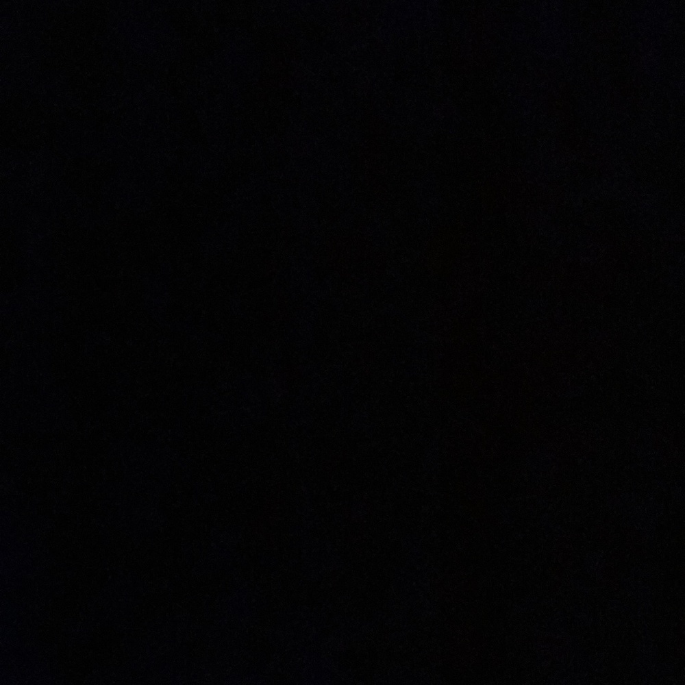 Meet your Posher, Sunny